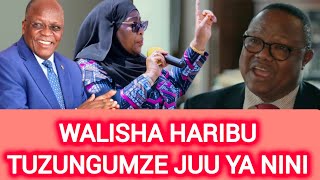 LISSU AFUNGUKA KUWA JPM NA SAMIA WOTE WAMEHARIBU quotTUKAE ZUNGUMZE NINI NA MAZINGIRA GANIquot [upl. by Thorman]