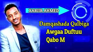 XARIIR AXMED HEESTII  DAREEN JECEYL OFFICAL LYRICS 2019 [upl. by Wurster]