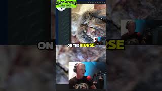 Dingo The Horse with Mysterious Hoof Issues Revealed equestrianpodcast podcast funny [upl. by Llebyram]