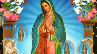 Virgen de Guadalupe La Guadalupana [upl. by Adele]