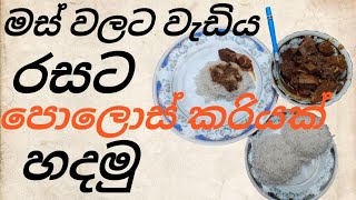 Polos taste චිකන් වගේද මේ පොලොස් මාලුව 😜😀😃 [upl. by Pickford]