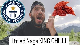 I tried Naga KING CHILLI 🌶️ the hottest chilli with Guinness World record 😲 [upl. by Osi]