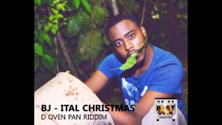 BJ  Ital Christmas D Oven Pan Riddim Trinidad Parang 2012 HD [upl. by Ahseyk]