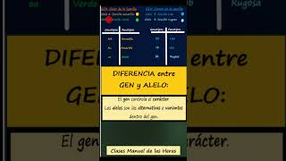 Conceptos Básicos de Genética Gen y Alelo Genotipo y Fenotipo Homocigoto y Heterocigoto [upl. by Dorthy]