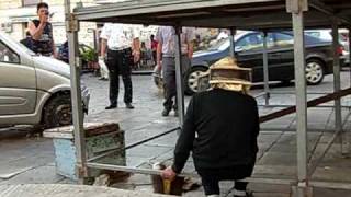 Galatina Api in Piazza San Pietro sotto il palco dei comizi Gino Vantaggiato le cattura [upl. by Noied]