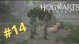 Hogwarts Legacy Part 14 As Provas de Merlin  GamePlay Português PTBR  PS4 [upl. by Milo]