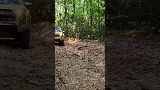 Lime Rush Toyota 4Runner TRD Pro Coming Up the Trail [upl. by Nnaer]