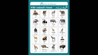 Wild Animals Name wildanimals shortsfeed rmlearning [upl. by Oigres]