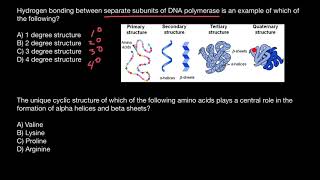 Proteins structural organisation [upl. by Volnak]