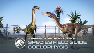 Species Field Guide  Coelophysis  Jurassic World Evolution 2 [upl. by Neimad]