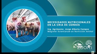 Hablemos de Cerdos y sus Procesos Día 7  Necesidades Nutricionales en la Cría de Cerdos [upl. by Kaehpos]