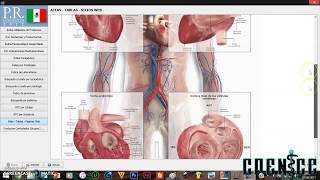 VADEMECUM  Farmacologia  Dr Garcia [upl. by Ibrab125]