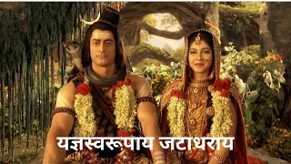 Nagendra Haraya Trilochanaya  Yagyaswaroopaya Jatadharaya Song  Devon Ke Dev Mahadev  Shiv Vivah [upl. by Nnylcaj380]