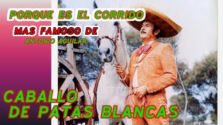 Cómo nació el corrido de caballo de patas blancas Antonio Aguilar [upl. by Esilahc]