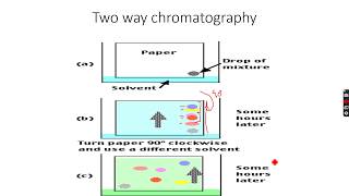 ALevel Chemistry Chromatography Part 3 [upl. by Tenahs310]