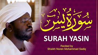 Surah Yaseen سورة يس II Urdu Translation amp Roman Urdu II Shaikh Noren Mohammad Sadiq [upl. by Anaic]