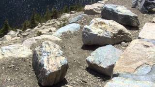 Golden Mantled Ground Squirrels  Rocky Mountains colorado [upl. by Emelia341]