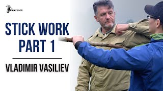 Systema Vasiliev  Stick Work Part 1 [upl. by Ljoka198]