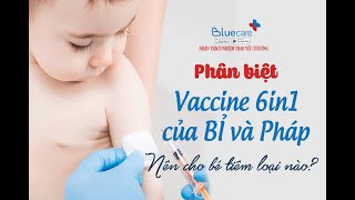 Sự khác nhau giữa vacxin 6in1 loại của Bỉ hay Pháp bố mẹ đã biết  Bluecare [upl. by Brecher560]