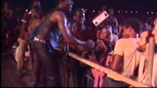 Toots amp the Maytals  Reggae Sunsplash Jamaica1982 [upl. by Zsazsa8]