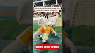 Mali vs Ivory Coast afcon2023 afcon2024 africacupofnations africancupofnations cotedivoire [upl. by Tye]