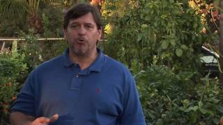 Fruit Tree Maintenance  How to Winterize Fruit Trees [upl. by Gnap]