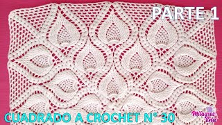 PARTE 1 Como tejer el Cuadro o cuadrado N° 30 a crochet en punto de hojas relieves y espigas [upl. by Jori773]