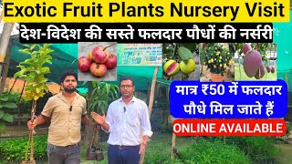 मात्र 50 रुपए में फलदार पौधे मिल जाते हैं  EXOTIC FRUIT PLANTS NURSERY LUCKNOW  Nursery Visit [upl. by Xineohp]