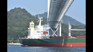 試運転から帰って来た新造貨物船「GARGANEY」因島大橋通過 令和6年9月9日 [upl. by Timoteo829]