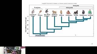 Primate Evolution [upl. by Othello]