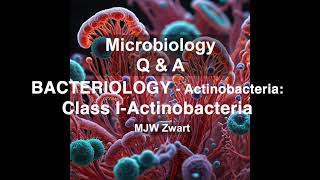 Microbiology QampA Bacteriology  Actinobacteria Class I Actinobacteria [upl. by Hsetirp]