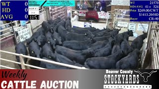 10242023  Beaver County Stockyards Livestock Auction [upl. by Santiago]