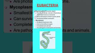 Class 11 Chapter 2 Archaebacteria and Eubacterianeet biology neet2025 neet2026 neetbiology [upl. by Bonni165]