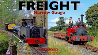 Preserved Railway Narrow Gauge Freight [upl. by Asille]