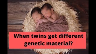 Twin pregnancy  Homozygous vs Heterozygous twins [upl. by Lavona573]