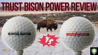 Trust Bison Power VX Golf Ball Review [upl. by Sylvie]