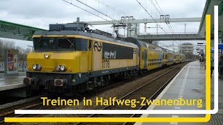 Treinen op station HalfwegZwanenburg  4 maart 2017 [upl. by Suidaht704]