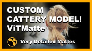 Custom Cattery Model  Create High Detail Mattes With ViTMatte  Nuke [upl. by Tiny]