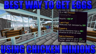 Best Way To Get Eggs Using Chicken Minions  Hypixel SkyBlock [upl. by Iey]