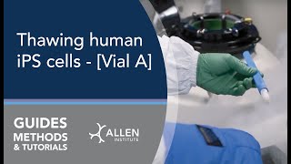 Allen Cell Methods Thawing human iPS cells  Vial A [upl. by Dahsar]