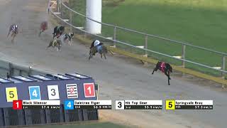 Gawler27102024Race5 [upl. by Modeste]