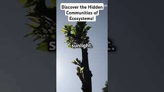 Discover the Hidden Communities of Ecosystems trendingvideos ecosystems community botany [upl. by Samanthia738]