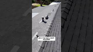 Why A Roofs Decking Is SO Important [upl. by Breh]