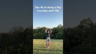 Day 42 of doing a flip everyday until 10k subs flipsubscribe shorts viralvideo [upl. by Yelsna]