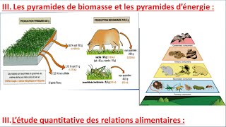 étude quantitative des relations alimentaires SVT TCSF les pyramides de biomasse 3 شرح بالداريجة [upl. by Gillman]