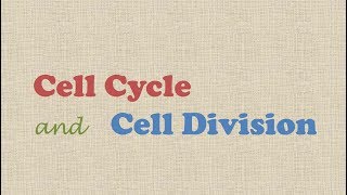 Cell Cycle and Cell Division [upl. by Ahsiyk]