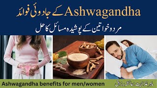 Ashwagandha Benefits For MenWomen Ashwagandha Ke Fayde Dietitian Ayesha Razzaq [upl. by Trevethick]