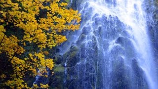 Proxy Fall JCT22  Oregon Oct 13 2013 1080p HD [upl. by Ahsinek888]