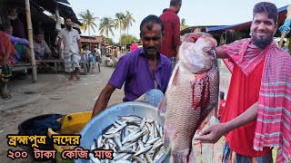 ব্রহ্মপুত্র নদের টাটকা মাছ কিনতে গিয়েছিলাম ২০০ টাকা কেজি  Brahmaputra river fish market [upl. by Tracy]