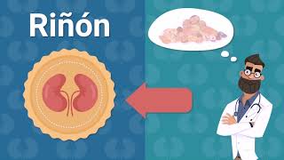 Conoce más micotoxinas con Sanfer Salud Animal [upl. by Sholes696]